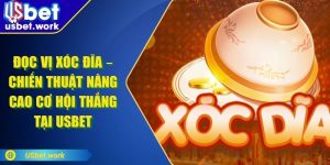Đọc Vị Xóc Đĩa – Chiến Thuật Tăng Cơ Hội Thắng Tại USBET
