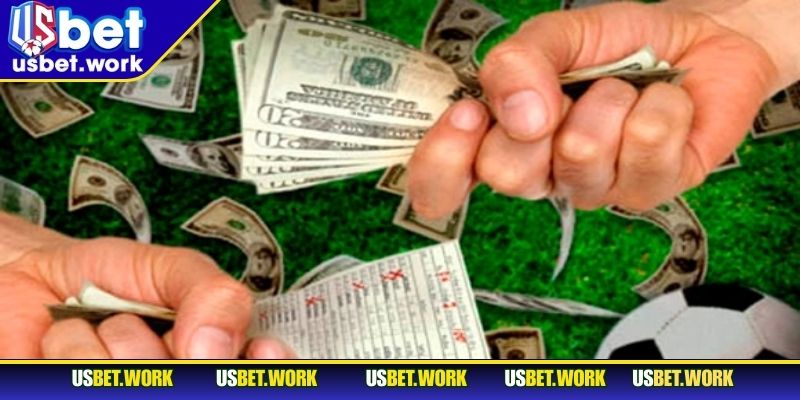 Tổng quan về kèo cược đối đầu dành cho người chơi mới